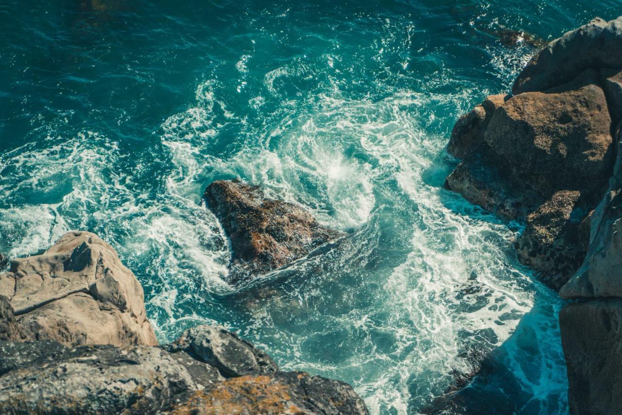 Ocean Eleven 5 Leilighet Mount Maunganui Eksteriør bilde